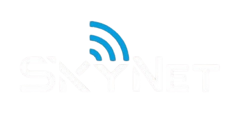 Logo de Rz Net